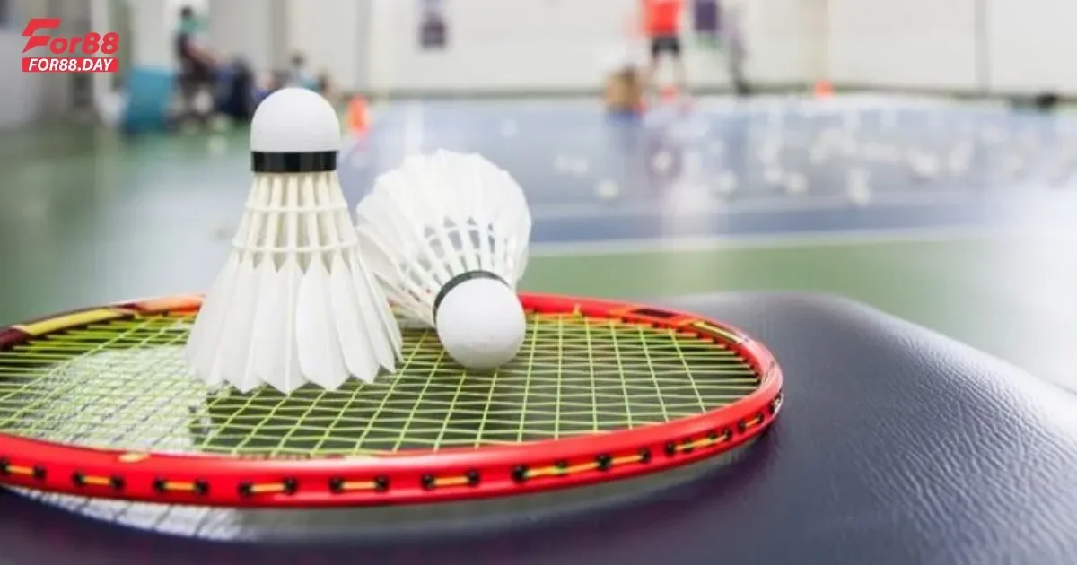 Những lưu ý khi tham gia cá cược cầu lông For88